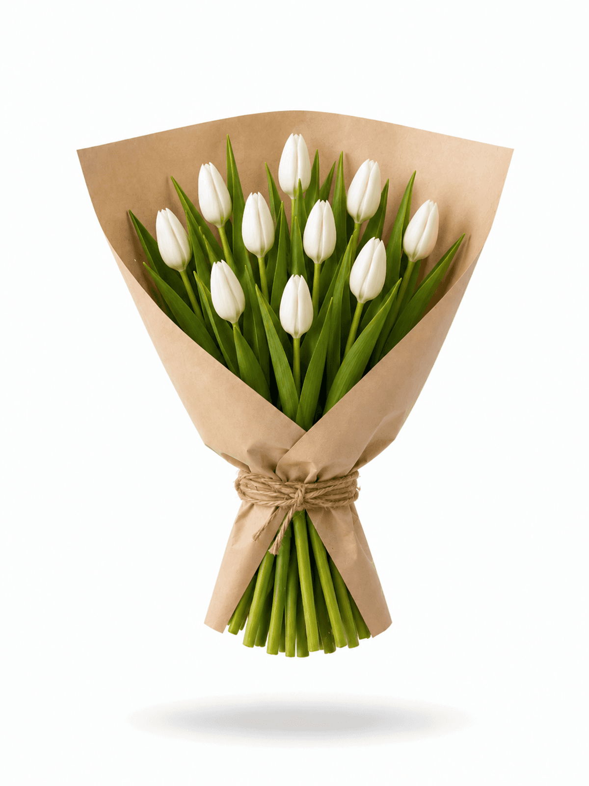 white tulips