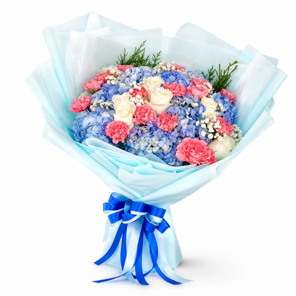 Hydrangea Bliss Elegance Mix