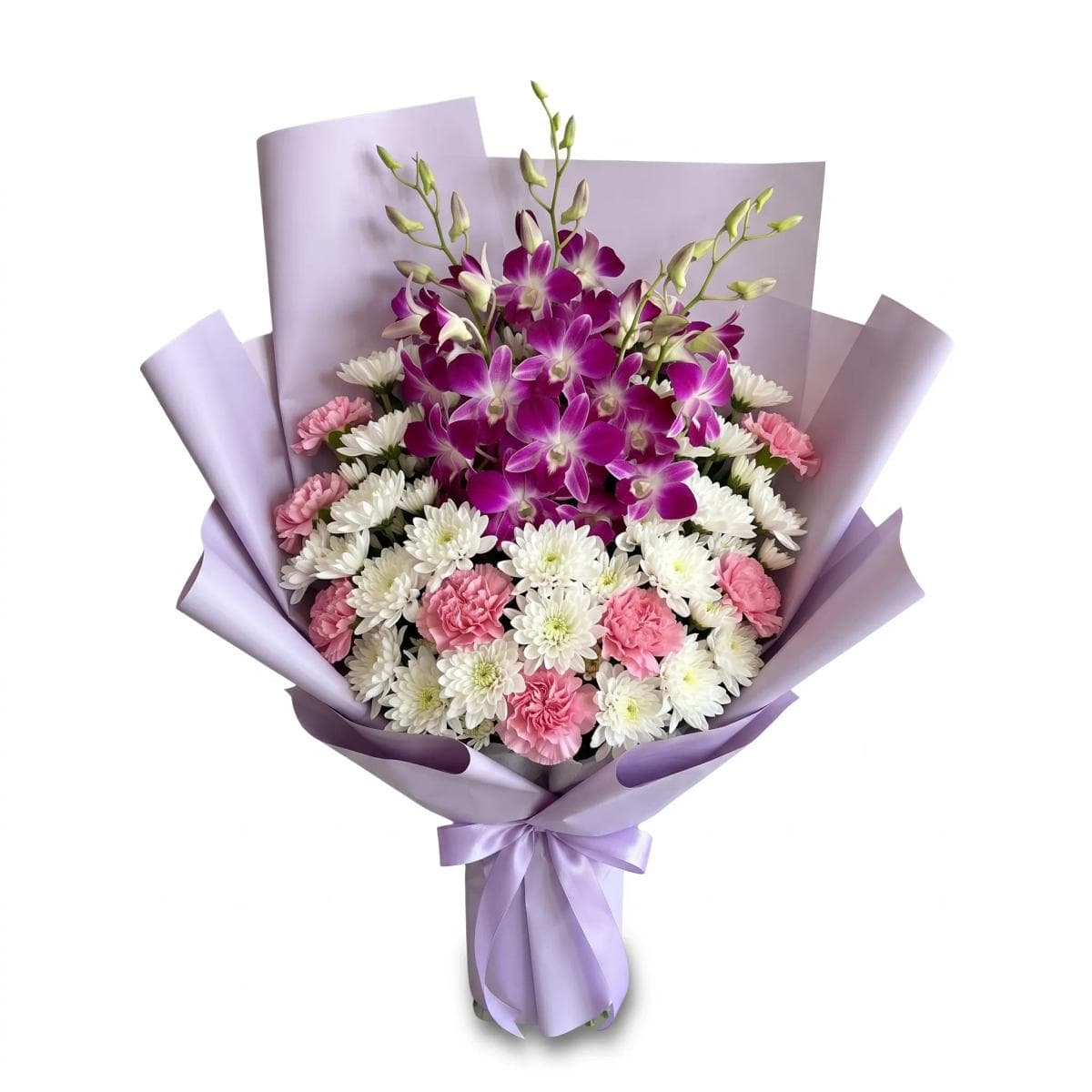 Modern Purple Orchid