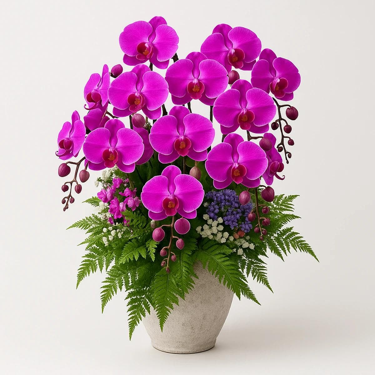 Vibrant orchid bouquet arranged with ferns, ideal for housewarming gifts in Chiang Mai.