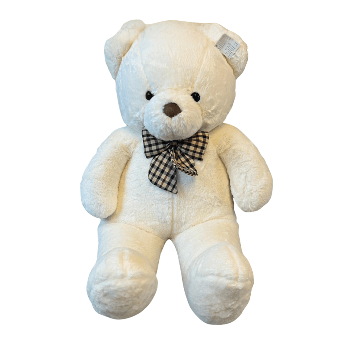 This teddy bear is a warm and memorable gift for birthdays, anniversaries, Valentine’s Day, and special surprises. Soft, cuddly, and beautifully finished with a ribbon, it is perfect as a stand-alone gift or as an extra touch with flower delivery in Chiang Mai.