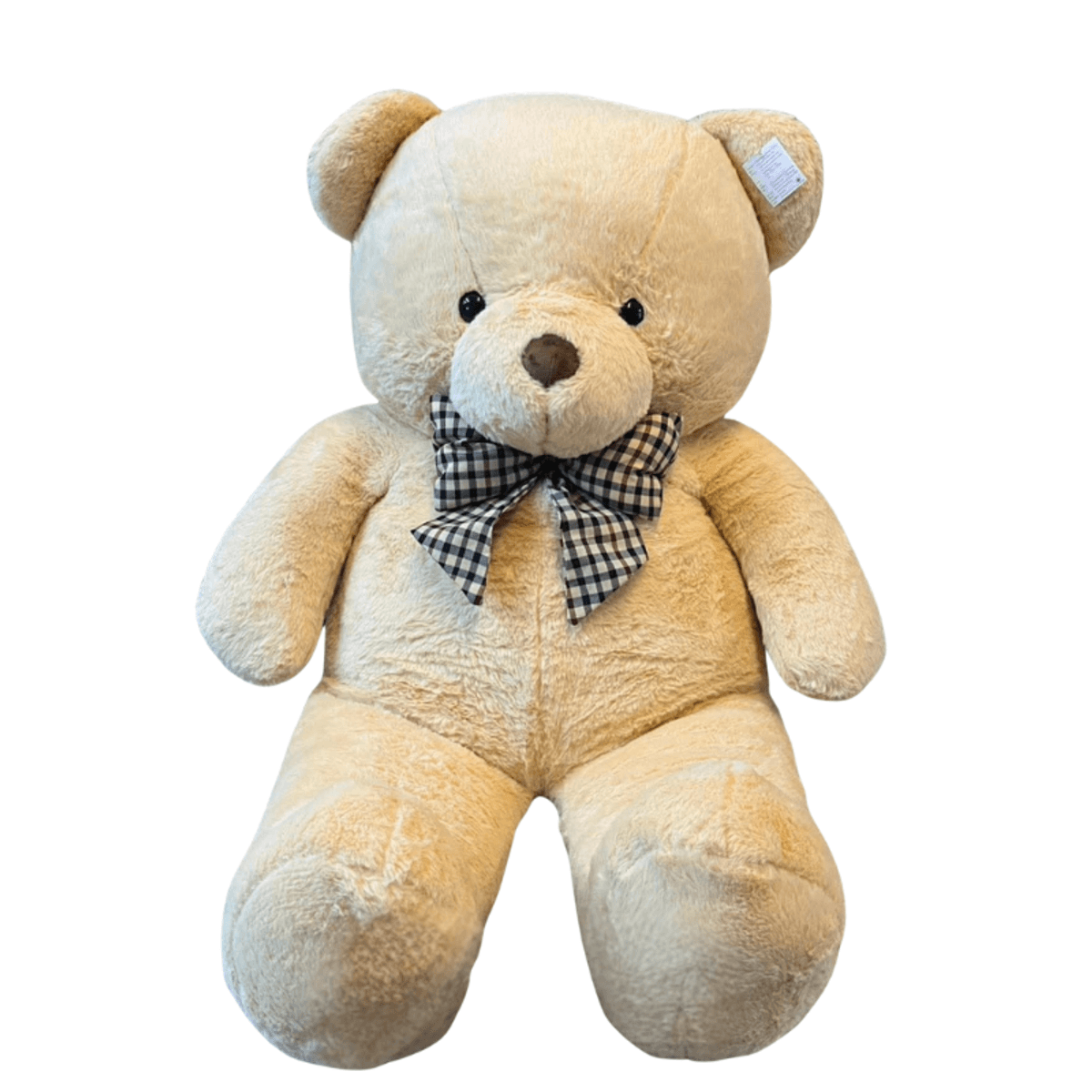 Make any surprise feel warmer with this large brown teddy bear, designed as a soft and memorable gift for birthdays, anniversaries, romantic occasions, or sweet everyday surprises. Its plush texture, classic ribbon detail, and oversized look make it a perfect add-on for flower delivery or a thoughtful gift on its own in Chiang Mai.